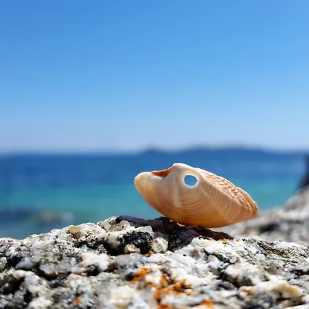 Eurostars Louxo Talaso Hotel O Grove