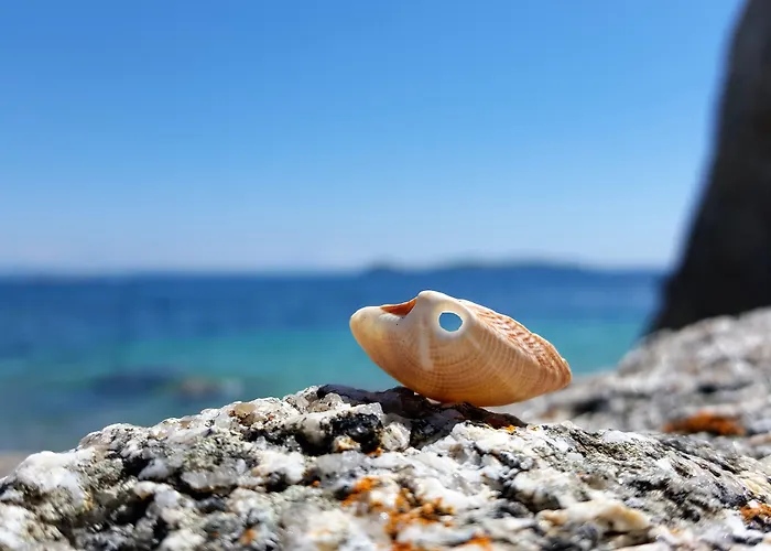 Eurostars Louxo Talaso Otel O Grove